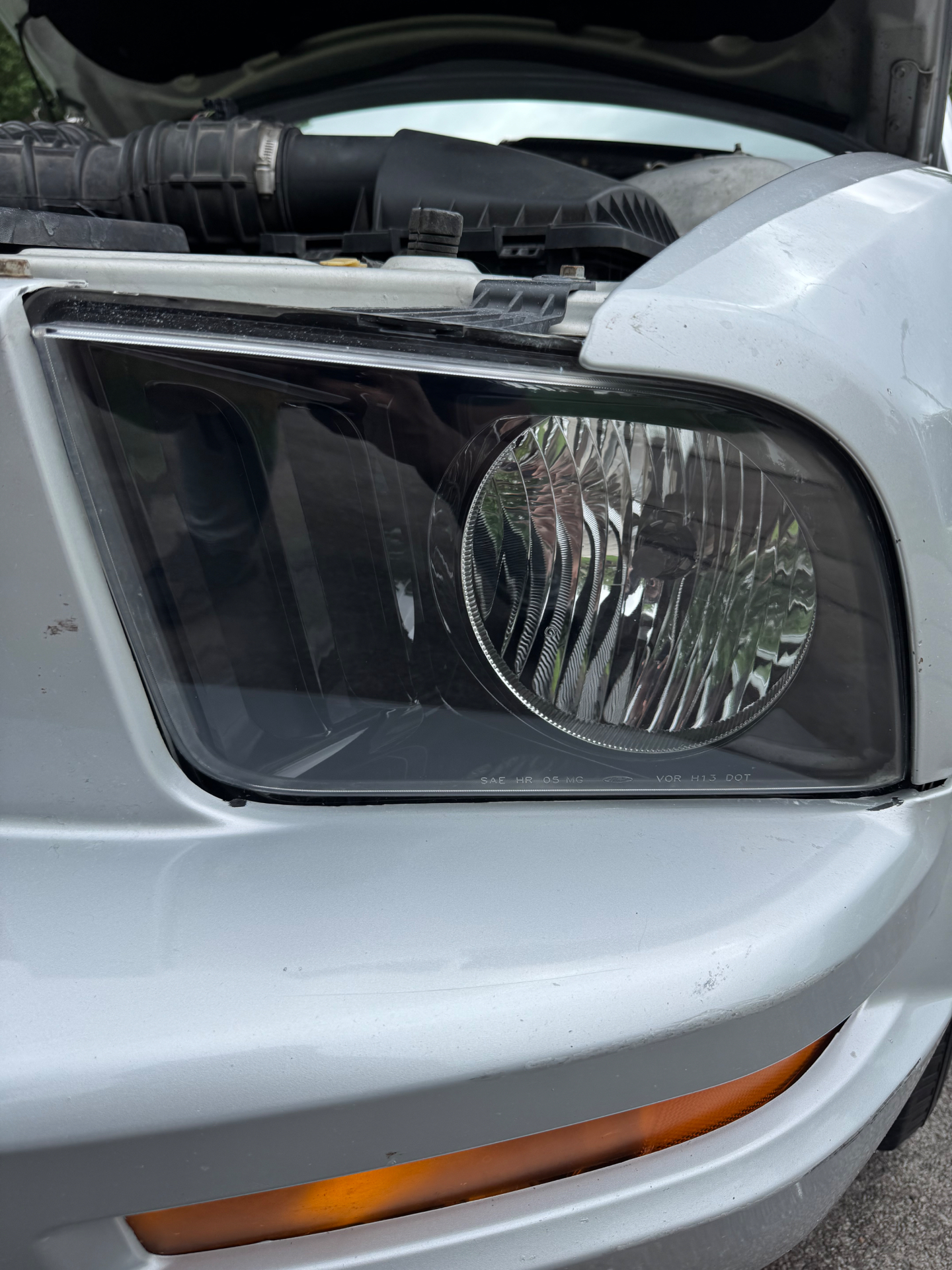 Ford — Heavy Oxidation Removed — after